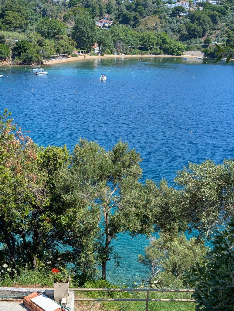 Kanapitsa bay from above - turquoise waters and lush green trees all around.