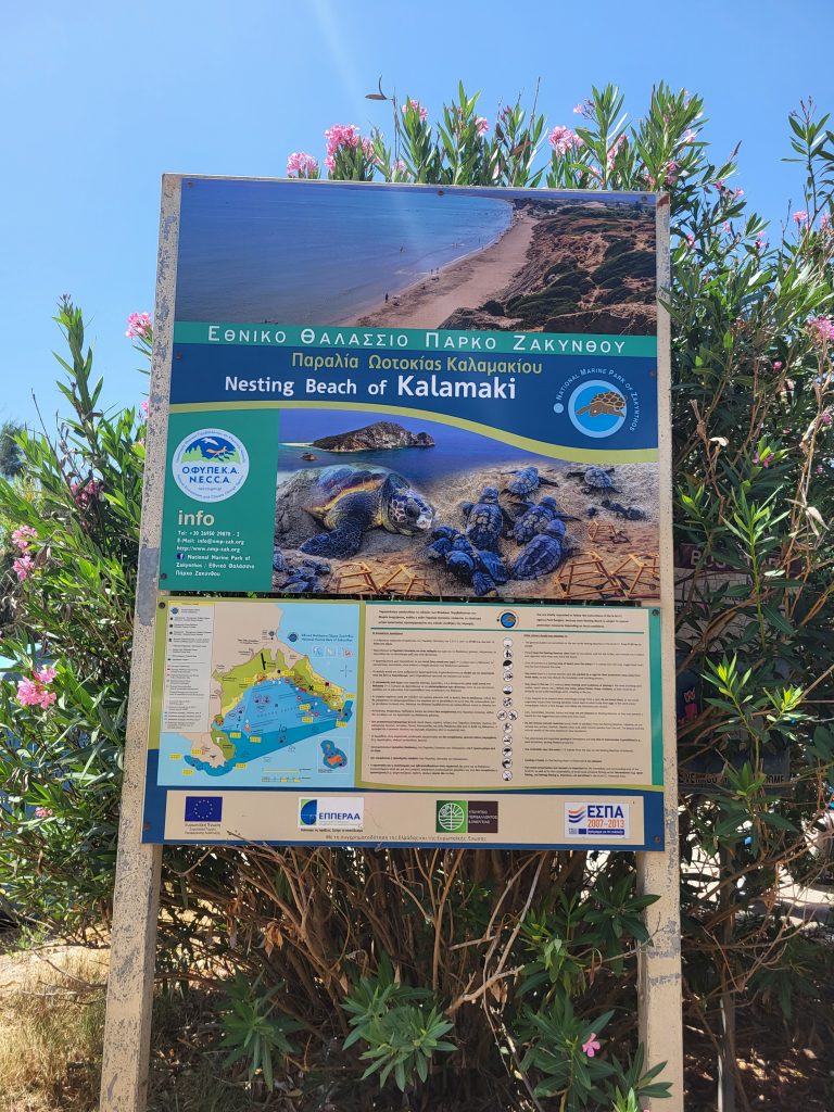 a sign that explains how Kalamaki is a nesting beach for the caretta caretta turtles.